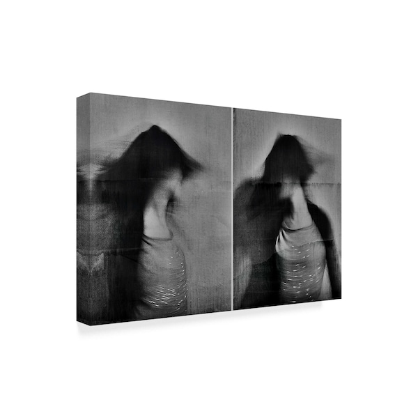 Dalibor Davidovic 'Shadows Over Gray' Canvas Art,30x47